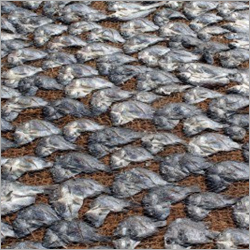 Dry Fish