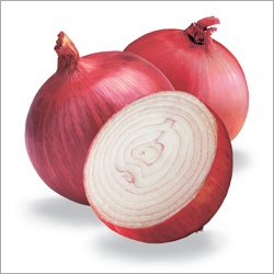 Onion