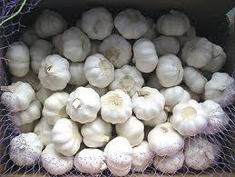 White Dried Garlic