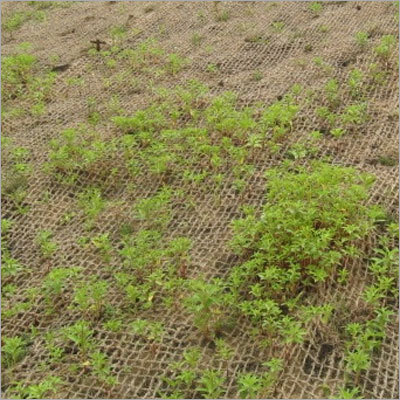 Coir Geo Textiles