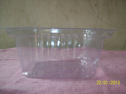 Plastic Fruit Punnets