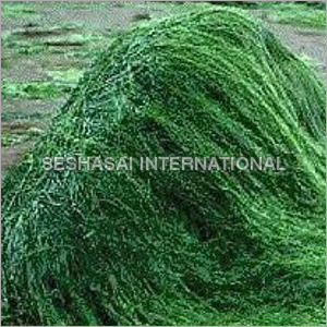 Naturally Green Spirulina