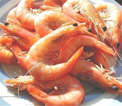 Prawns