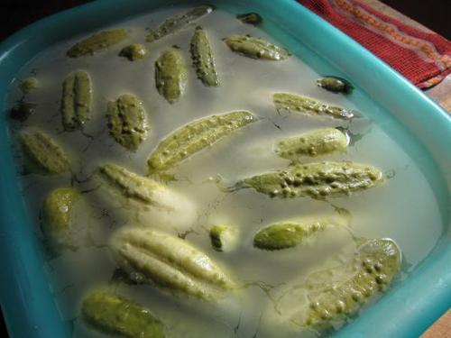 Brine Processed Gherkins