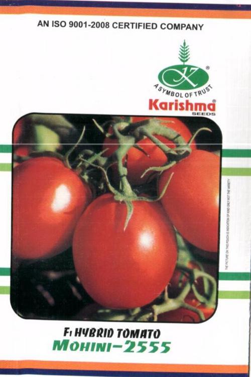 TOMATO