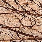 Marble