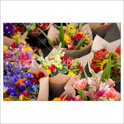 Fresh Flowers