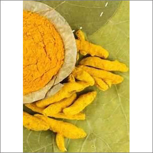 Indian Turmeric