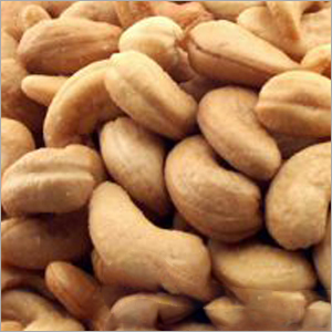 Cultivating Cashew Nuts
