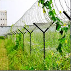 Concertina Wire Fence