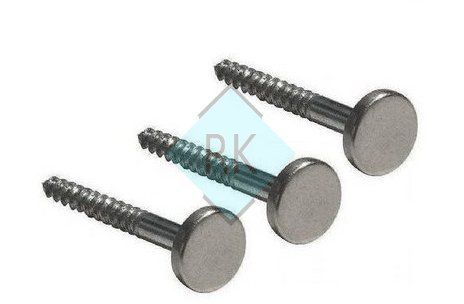 Silver Flat Head Mirror Screw