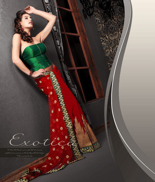 Designer Saree