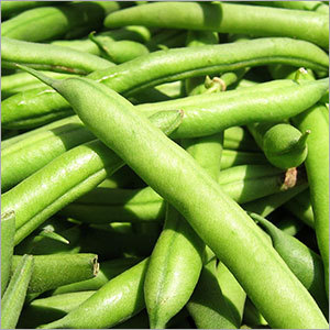 Green Beans