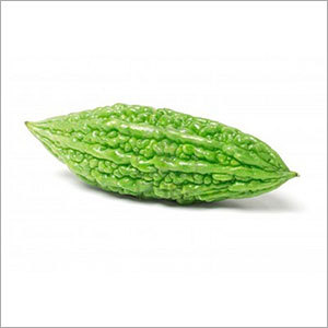 Green Bitter Gourd