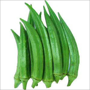 Lady Finger