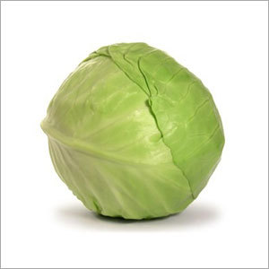Green Cabbage