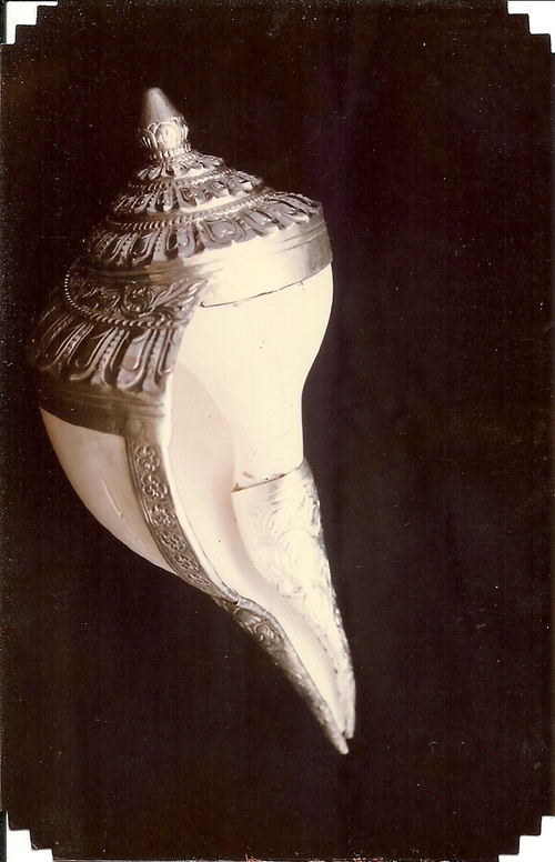 Valampuri Shankh with Silver Cover