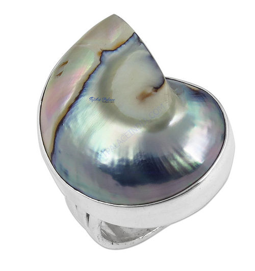 Excellent New Fashion Shell Silver Gemstone  Ring