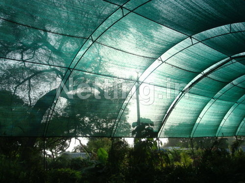 Nursery Shade Net