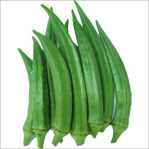 Green Lady Finger