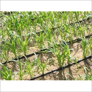 Drip Irrigation Products