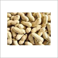 Raw Peanuts