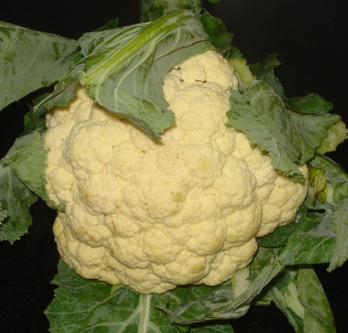 Cauliflower