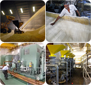 Di Flange Pipe Plant