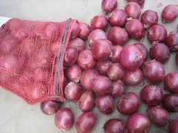 Big Onion