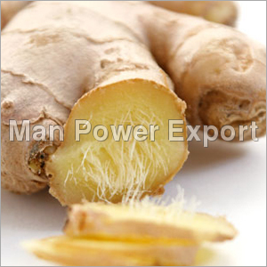 Natural Ginger Root