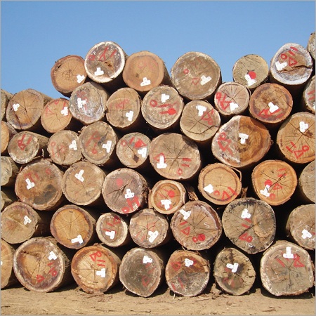 Teak Veneered Logs
