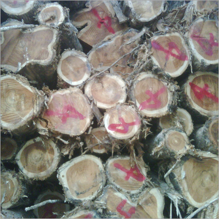 Teak Veneered Logs