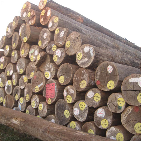 Timber round logs
