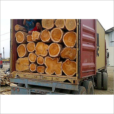 Shuttering plywood