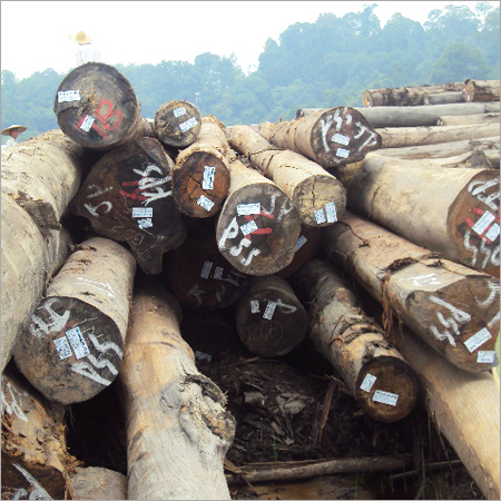 Round Timber Logs