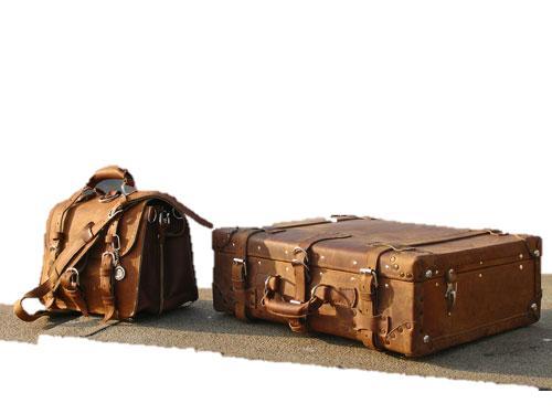 TE Hand & Traveller Bags