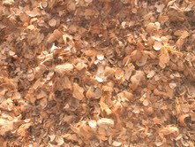 Coconut shells