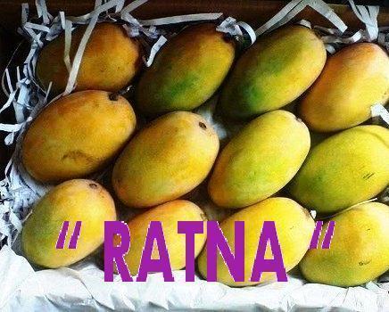 Ratna Mango
