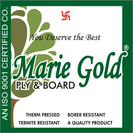 Marie Gold plywood