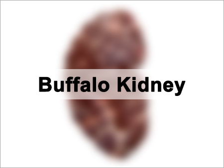 Buffalo Kidney Meat