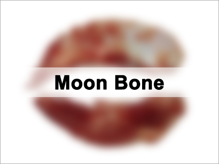 Buffalo Bone