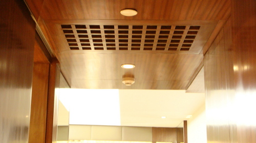 Interior Decoration Services - Wood, Customizable Size, Brown | Modern Style, Ceiling Installation, Aesthetic Appeal, Space Enhancement