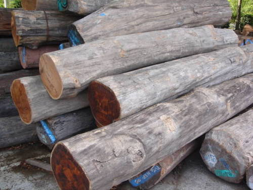 Teak Logs