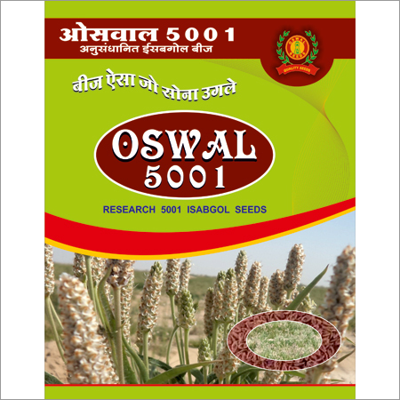 Isabgol Seeds By SHREEOSWAL PSYLLIUM EXPORTS INDIA LIMITED