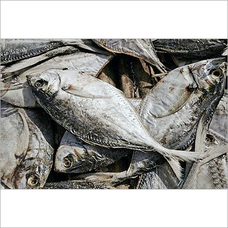 Dried Whole Fish