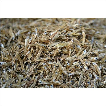 Dry Fish