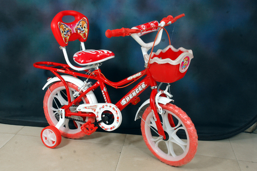 Kids Fancy Bicycle