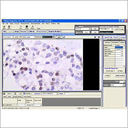 Digital Image Analysis Software