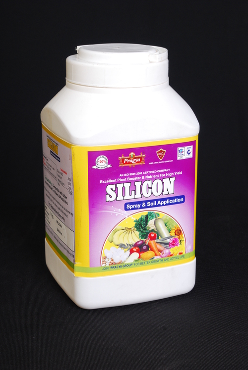 Pragya Silicon