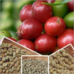 Raw Coffee Beans